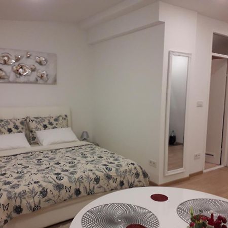 Apartman Mmvg Studio Zagreb Airport 벨리카 고리차 외부 사진
